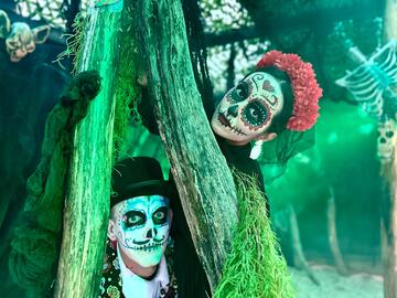 Oskarshausen Opens New Child-Friendly Haunted Maze