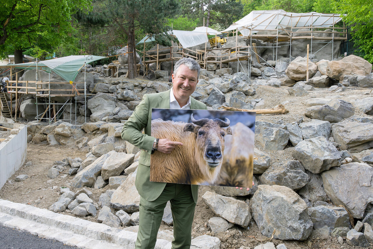 Vienna Zoo Builds New Mountain Animal Enclosure